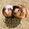 MOULÉE AVEC VITAMINE C POUR COCHONS D'INDE - 2 KG