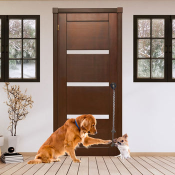 CLOCHETTES D'APPRENTISSAGE POUR CHIENS