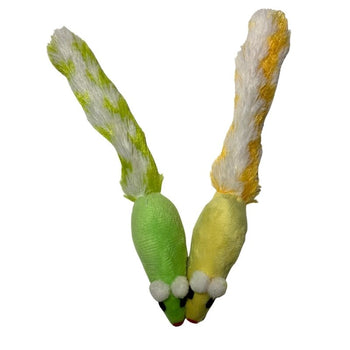 SOURIS LONGUE À QUEUE BRUYANTE