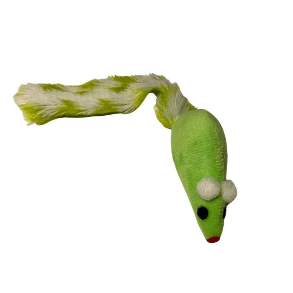 SOURIS LONGUE À QUEUE BRUYANTE