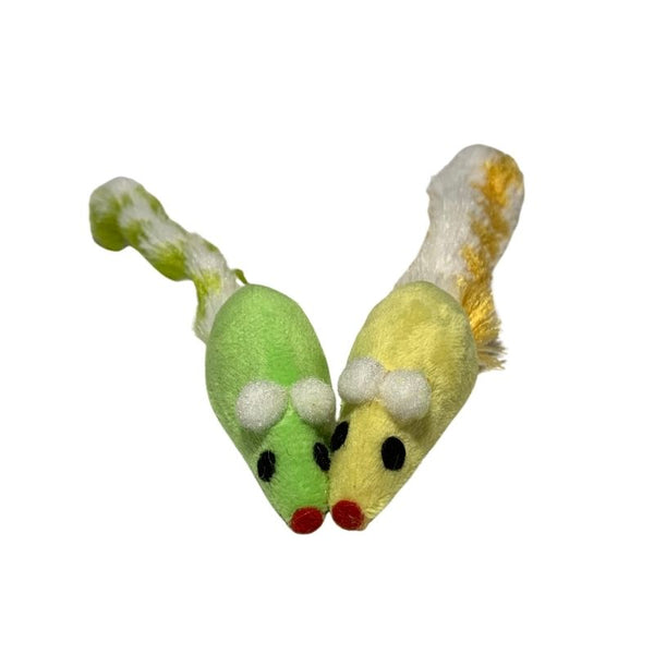 SOURIS LONGUE À QUEUE BRUYANTE