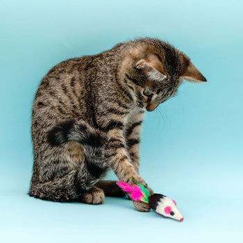 SOURIS EN FOURRURE POUR CHAT - 6