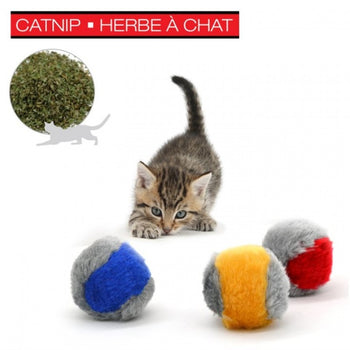 BALLES FUZZY AVEC HERBE À CHAT