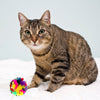 CRINKLE BALL - JUMBO 3.5"