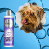 SHAMPOOING POUR CHIEN AVEC FRAGRANCE DIVINE (FORMULE CONCENTRÉE)