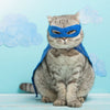 JOUET CHENILLE POUR CHAT