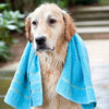 SHAMPOOING AUX HUILES ESSENTIELLES POUR ANIMAUX CITROLUG