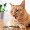 HERBE À CHAT SÉCHÉE - 1.27 OZ / 36 G