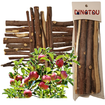 10 BÂTONS DE BOIS DE POMMIER