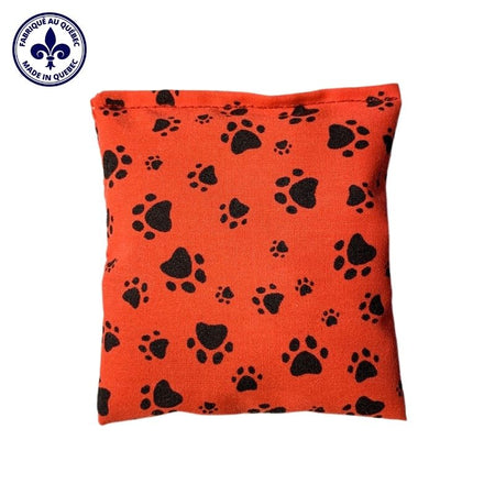 COUSSIN AVEC HERBE AUX CHATS