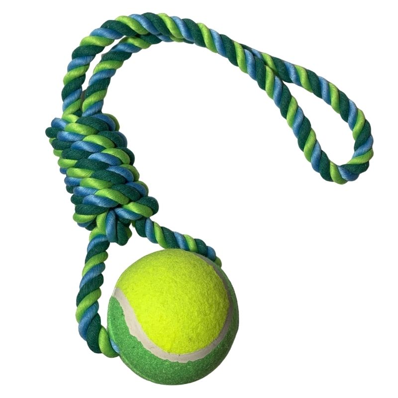 Balle de tennis pour chien, Jouet pour chien