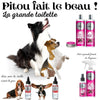 PITOU FAIT LE BEAU ! - LA GRANDE TOILETTE - Chien