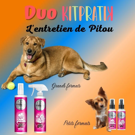 L'ENTRETIEN DE PITOU - Chien