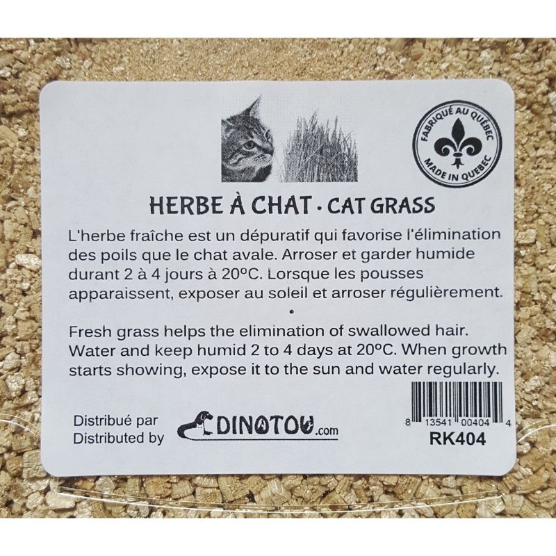 https://econoachatbeauce.com/cdn/shop/products/rk-404-herbe-a-chat-a-cultiver-3.jpg?v=1651173205